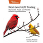 Next-Level A/B Testing: Repeatable, Rapid, and Flexible Product Experimentation - Paperback
