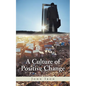 A Culture of Positive Change - Paperback
