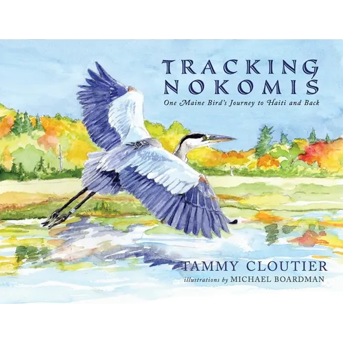 Tracking Nokomis - Paperback
