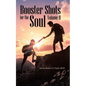 Booster Shots for the Soul Volume Ii - Paperback