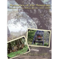 Memories of The Mountain: Family Life In Bonny Doon 1800-2000 - Paperback