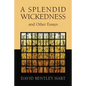 A Splendid Wickedness and Other Essays - Paperback