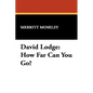 David Lodge: How Far Can You Go? - Library Binding