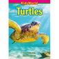 Turtles - Paperback