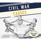 Civil War Causes - Library Binding