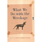 What We Do with the Wreckage: Stories - Paperback