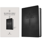 Bilingual Bible / Biblia Bilingue NLT/Ntv - Imitation Leather