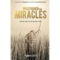 Positioned For Miracles - Paperback