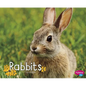 Rabbits - Paperback