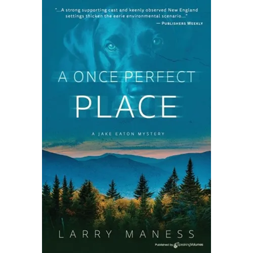A Once Perfect Place - Paperback