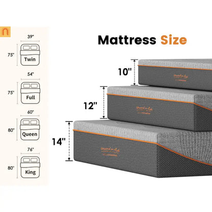 Mattress Memory Foam Black Queen 10in Green Tea Charcoal