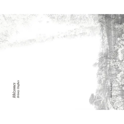 Rhizomes - Paperback