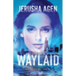 Waylaid: A Christian Romantic Suspense - Paperback