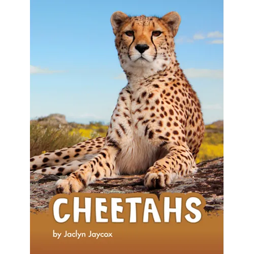 Cheetahs - Hardcover