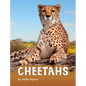 Cheetahs - Hardcover