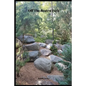 Off The Beaten Path: 4 year Blood Glucose Tracker - Paperback