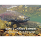 Idaho's Chinook Salmon: The Journey of a LIFE Cycle - Paperback