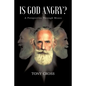Is God Angry?: A Perspective Through Moses - Paperback