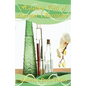 Healing Oils of Ancient Scripture - Paperback