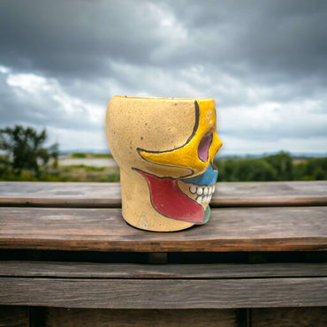 Small Mexican Skull Planter | Unique Flower Pot for Home Decor