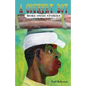 A Country Boy: More Ossie Stories - Paperback