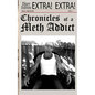 Chronicles of a Meth Addict - Paperback