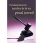 Fundamentacion Juridica de La Ley Penal Juvenil - Paperback