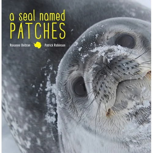 A Seal Named Patches - Hardcover