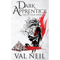 Dark Apprentice: Fall of Magic Book One - Hardcover