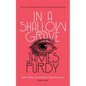 In a Shallow Grave (Valancourt 20th Century Classics) - Paperback