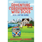 Dog on the Rhine: From Rat Race to Road Trip - Paperback