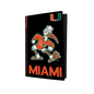 Miami Hurricanes PS5 VarsityWrapz