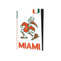 Miami Hurricanes PS5 VarsityWrapz