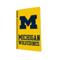 Michigan Wolverines PS5 VarsityWrapz
