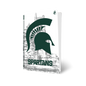Michigan State PS5 VarsityWrapz