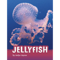 Jellyfish - Hardcover