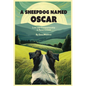 A Sheepdog Named Oscar: Love and Companionship in Rural Ireland - Paperback