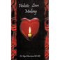 Holistic Love Making - Paperback