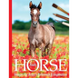 Foals: Horse Images for Artist's Reference and Inspiration - Paperback