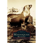 Manasquan Revisited - Hardcover