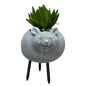 Faux Yellow / Green Succulent In Planter - Mouse