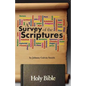 A Survey of the Scriptures - Paperback