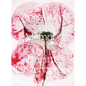 Brigitte Lustenberger: An Apparition of Memory - Paperback