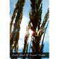 Little Book Of Eternal Wisdom - Paperback