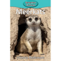 Meerkats - Paperback
