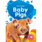 Baby Pigs - Library Binding