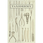 Taxidermy - Paperback