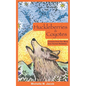 Huckleberries and Coyotes: Lessons from Our More than Human Relations - Paperback