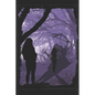 The Tor Transformation: Book Three of the Plains Saga - Paperback