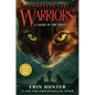 Warriors: The Broken Code #6: A Light in the Mist - Hardcover